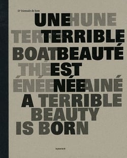 11e biennale d'art contemporain de lyon - une terrible beaute est nee