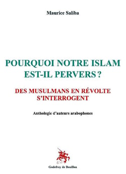POURQUOI NOTRE ISLAM EST-IL PERVERS ?