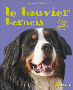 Poils, Plumes & Cie Le Bouvier Bernois