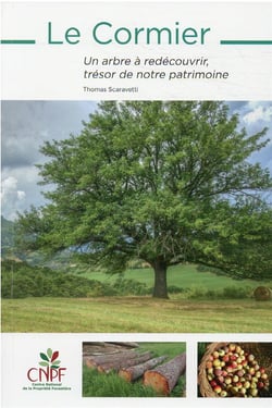 Le cormier - un arbre à redécouvrir, trésor de notre patrimoine