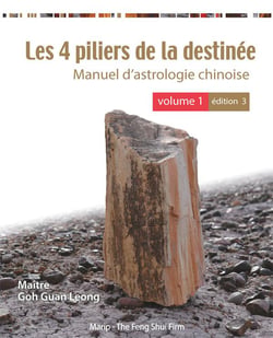 LES 4 PILIERS DE LA DESTINEE - VOL 1 (3E ED) EN COULEUR