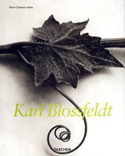 KARL BLOSSFELDT