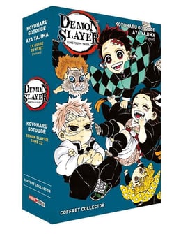 Demon slayer : coffret : Tome 22 et roman Tome 3