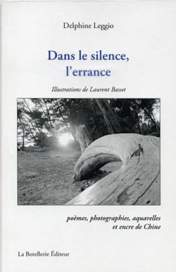 Dans le silence de l'errance