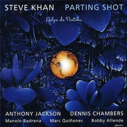 Parting shot / Steve Khan