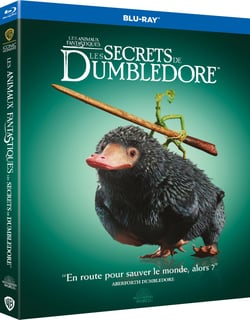 Les Animaux fantastiques : Les Secrets de Dumbledore