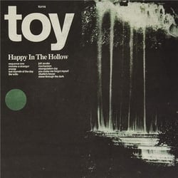 Happy in the hollow