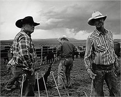 John langmore open range