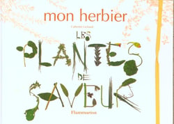 Les plantes de saveur