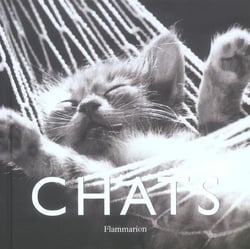 Chats