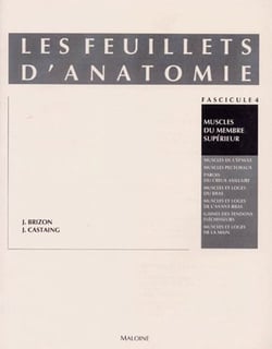 Les feuillets d'anatomie t.4 - muscles du membre supérieur