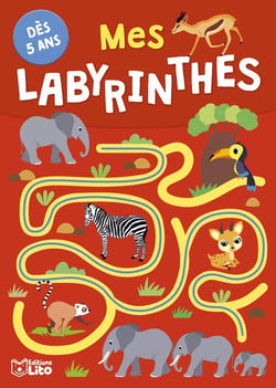Mes labyrinthes