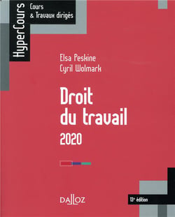 Droit du travail (édition 2019) (13e édition)