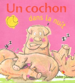 Un cochon dans la nuit