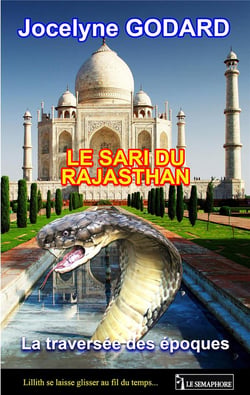Le sari du rajasthan - la traverséee des époques