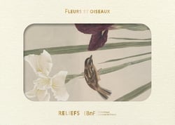 Livre d'images : Fleurs et oiseaux
