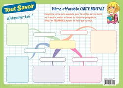 Tout savoir - mémo effacable carte mentale