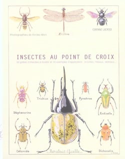 Insectes au point de croix