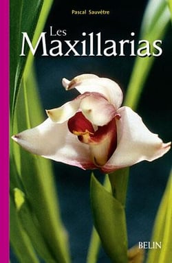 Les Maxillarias
