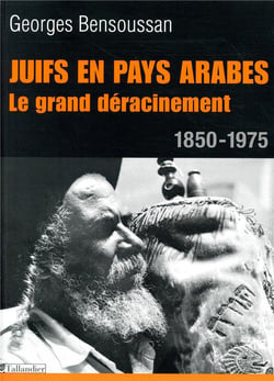Juifs en pays arabes - le grand déracinement - 1850-1975