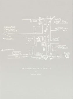 The observation of trifles