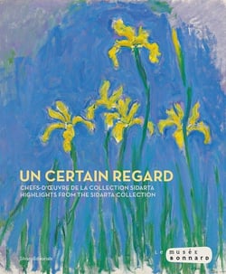 Un certain regard : Chefs-d'oeuvre de la collection Sidarta