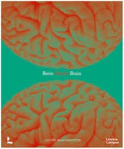 Wonder brain