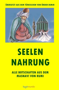 SEELEN NAHRUNG : ALLE BOTSCHAFTEN AUS DEM MASNAVI VON RUMI