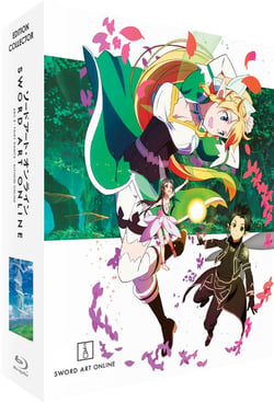 Sword Art Online - Saison 1, Arc 2 (ALO)