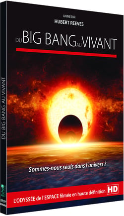 Du Big Bang au vivant