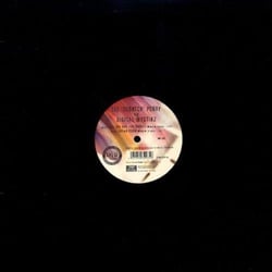 Like The Way You Should - Vinyle