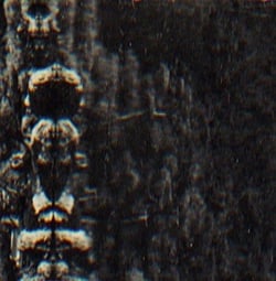 Forest, the people and the spirits