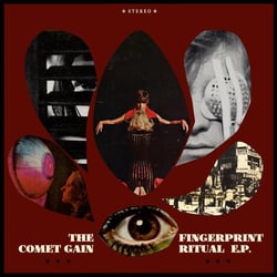 Fingerprint ritual - Vinyle