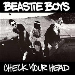 Check your head - édition limitée
