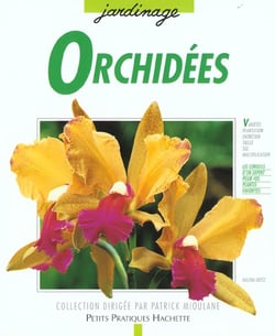 Orchidees