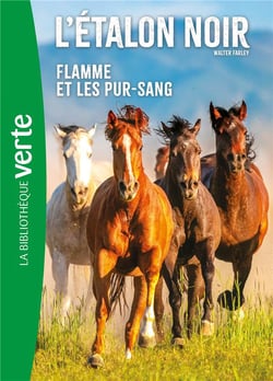 L'étalon noir Tome 11 : Flamme et les pur-sang