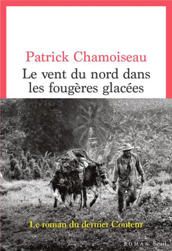 Le vent du nord dans les fougères glacées : le roman du dernier conteur