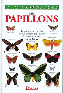 Les papillons
