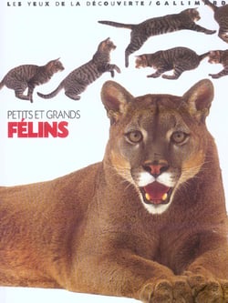 PETITS ET GRANDS FELINS