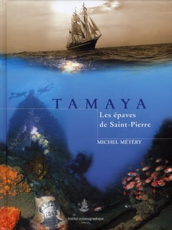 Tamaya - les épaves de Saint-Pierre
