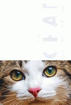 Le chat qui a changé ma vie (version à plier)