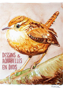 Dessins aquarelles en diois