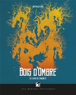Le livre de l'énigme t.2 - bois d'ombre