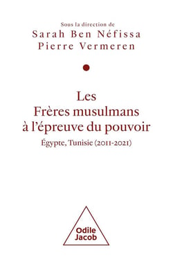 Les Frères musulmans à l'épreuve du pouvoir : Égypte, Tunisie (2011-2021)