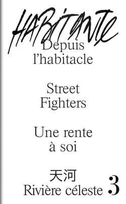 Habitante n.3 : depuis l'habitacle, street fighters, une rente à soi, rivière céleste