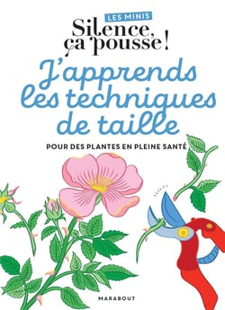 Les minis Silence ça pousse ! J'apprends les techniques de taille, pour des plantes en pleine santé