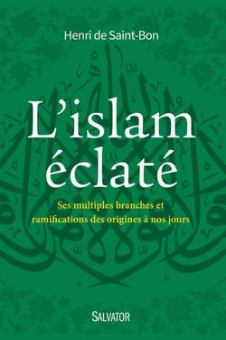 L'islam éclaté - ses multiples branches et ramifications des origines à nos jours