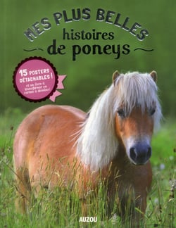 Mes Belles Histoires De Poneys