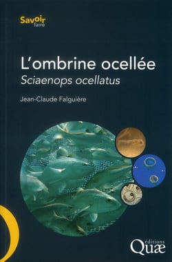 L'ombrine ocellée - sciaenops ocellatus
