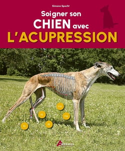 Soigner son chien avec l'acupression